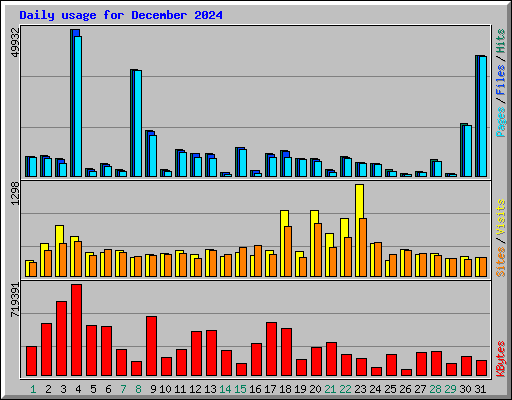 Daily usage for December 2024