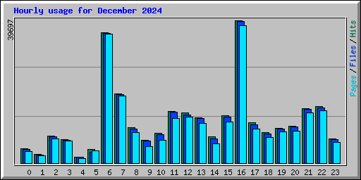 Hourly usage for December 2024